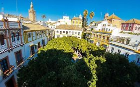 Apartamento Plaza De Dona Elvira 8